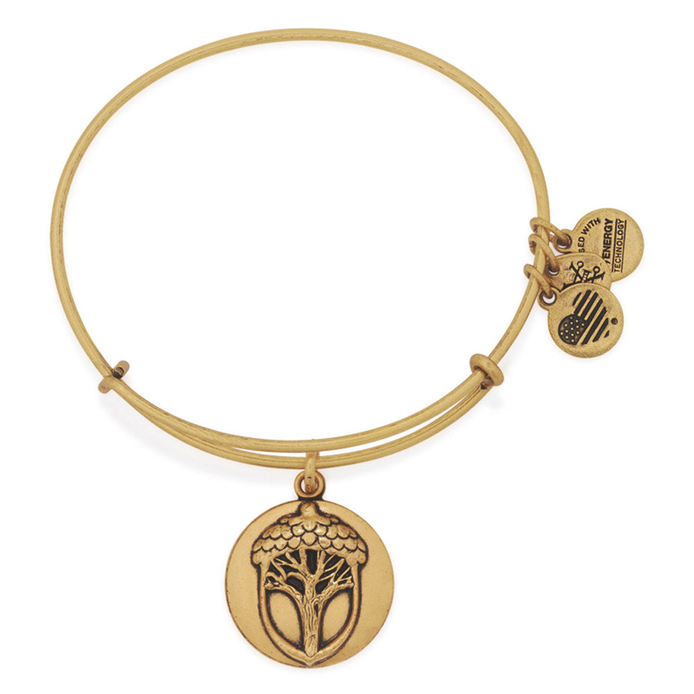 Unexpected Miracle Alex & Ani Bangle